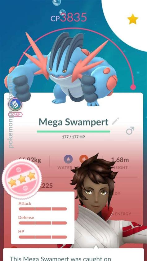 Where to go next after beating mega.